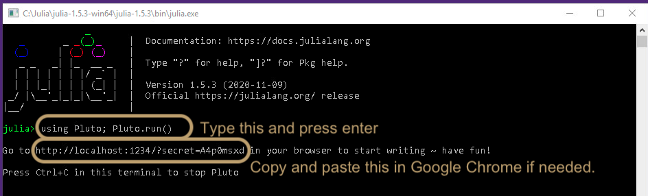 The Julia REPL showing the text to type to start Pluto